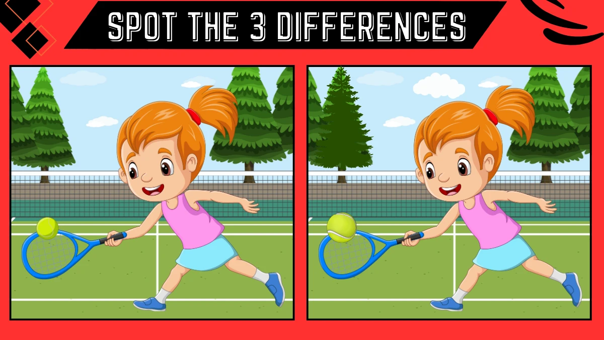 Spot the Difference: Find 3 Differences between these two images in 6 Secs | Little Difficult