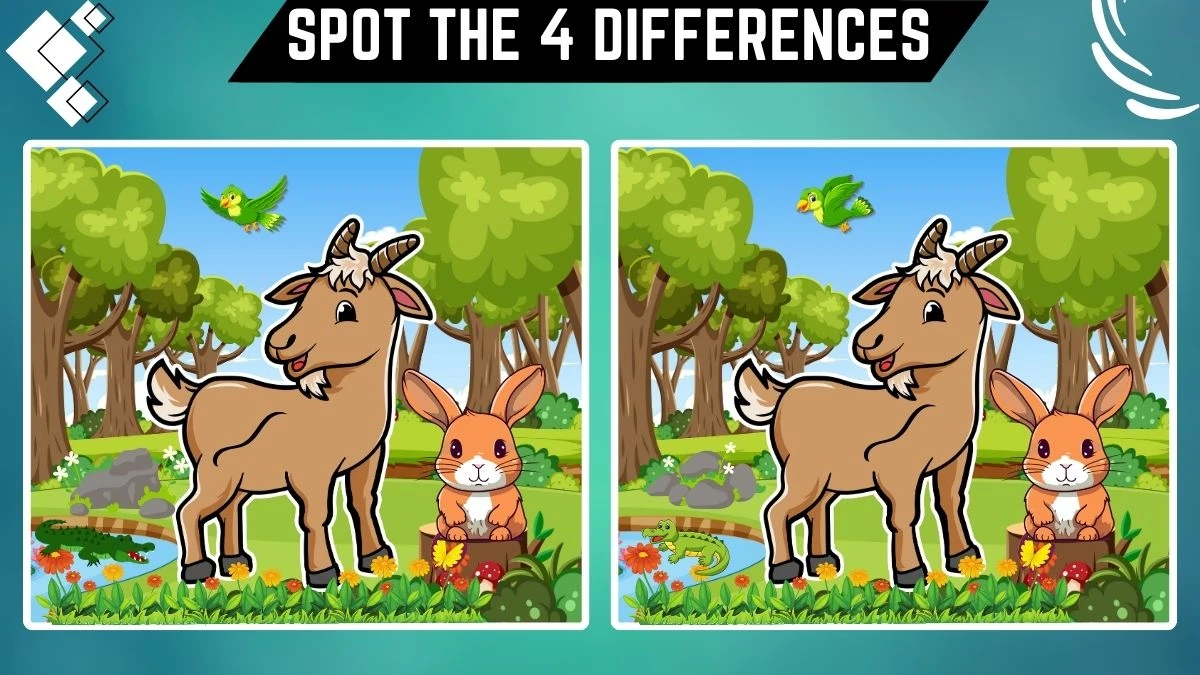 Spot the Difference Game: Only 20/20 Vision Can Spot the 4 Differences in this Goat and Rabbit Image in 10 Secs