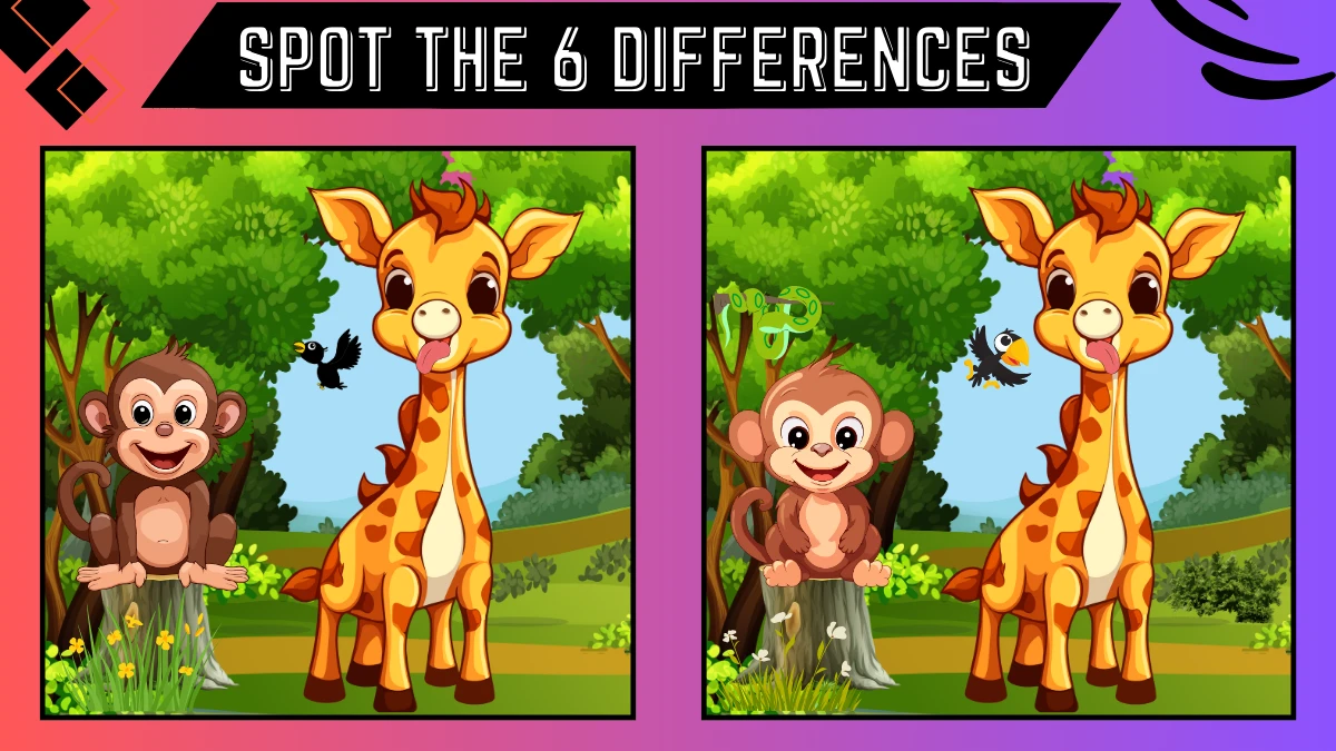 spot the difference game only 2020 vision can spot the 6 differences in this giraffe and 6673cdfb5f4d996614433 1200