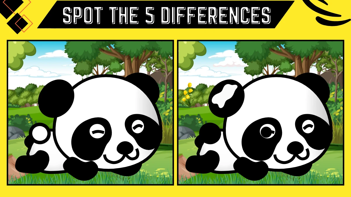 Spot the Difference Game: Only 20/20 Vision People Can Spot the 5 Differences in this Panda Image in 12 Secs