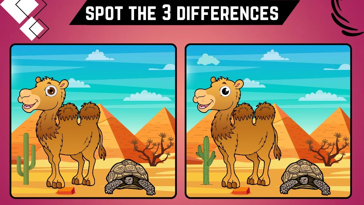 Spot the Difference Game: Only 50/50 Vision Can Spot the 3 Differences in this Camel and Tortoise Image in 10 Secs