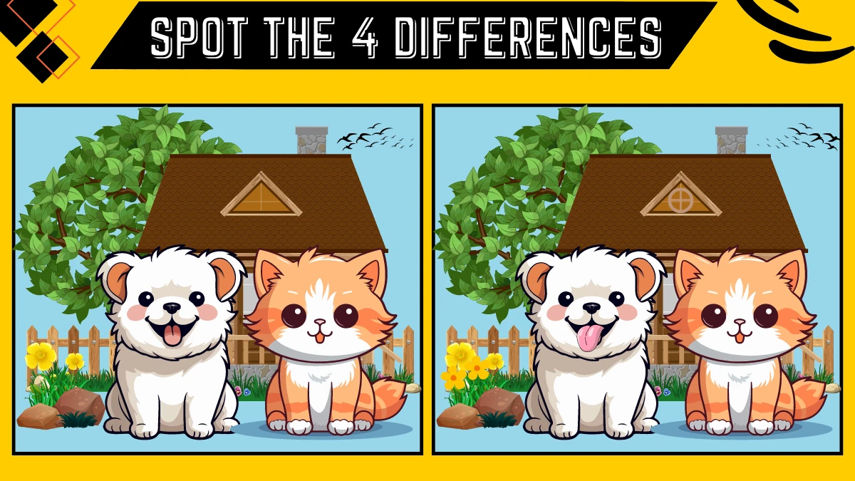 Spot the Difference Game: Only 50/50 Vision Can Spot the 4 Differences in this Cat and Dog Image in 12 Secs