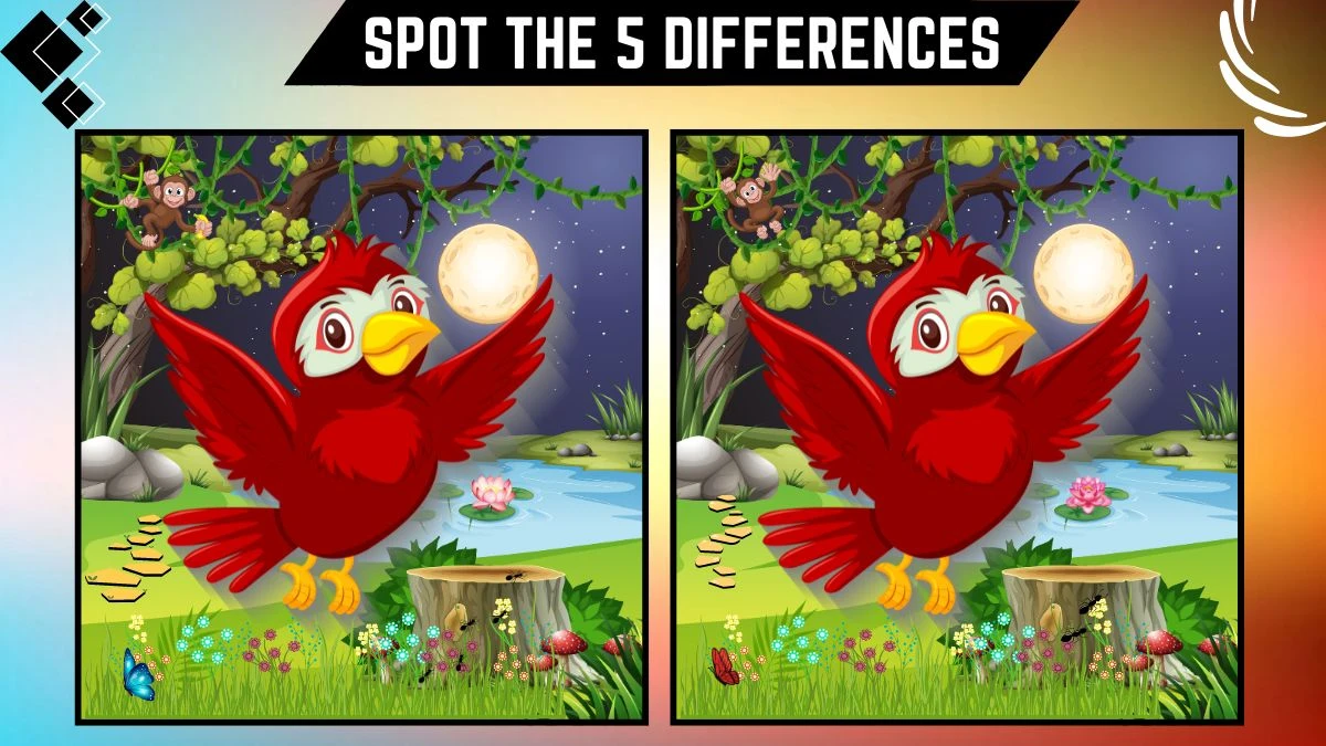 Spot the Difference Game: Only a genius can spot the 5 Differences in this Red Bird Image in 15 Secs