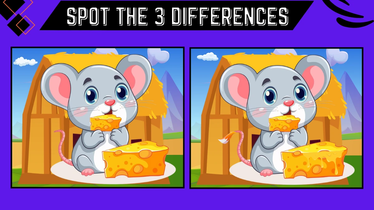 spot the difference puzzle 80968871 1200