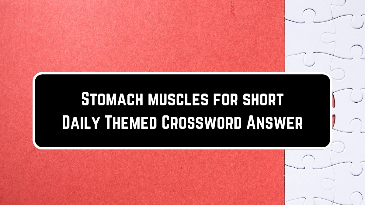 Stomach muscles for short Daily Themed Crossword Clue Puzzle Answer from August 5, 2024