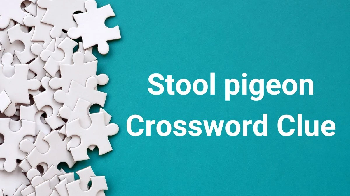 Stool pigeon Daily Commuter Crossword Clue Puzzle Answer from June 29, 2024