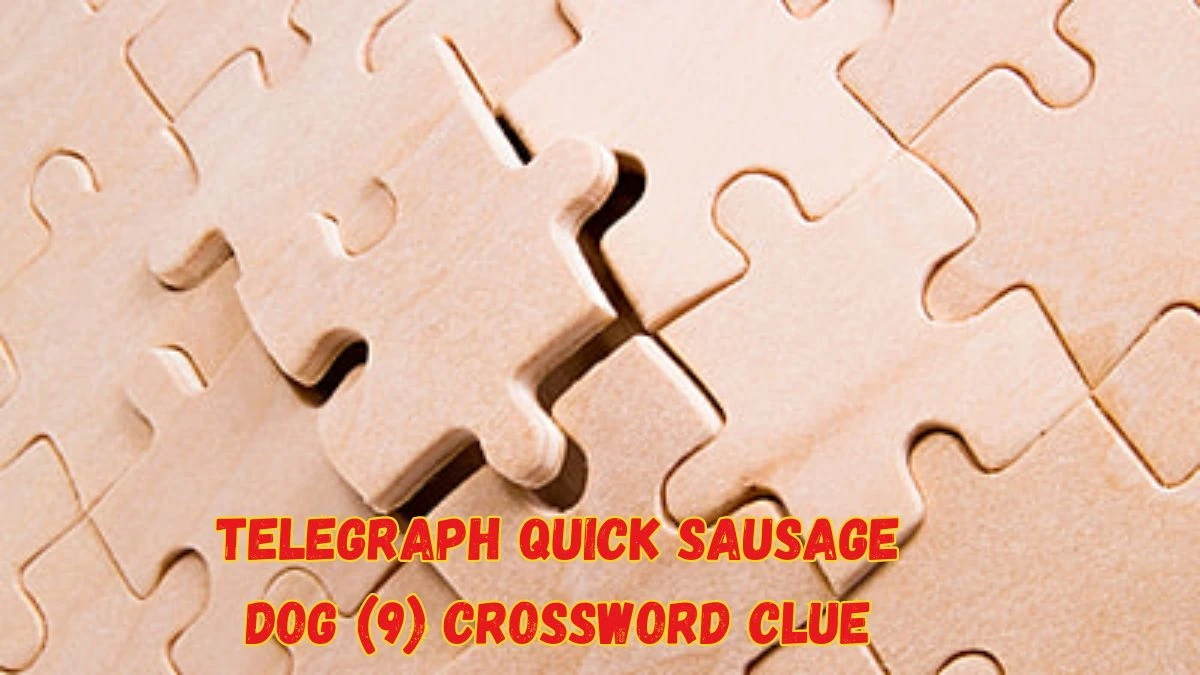 Telegraph Quick Sausage Dog (9) Crossword Clue Puzzle Answer from June 08 2024