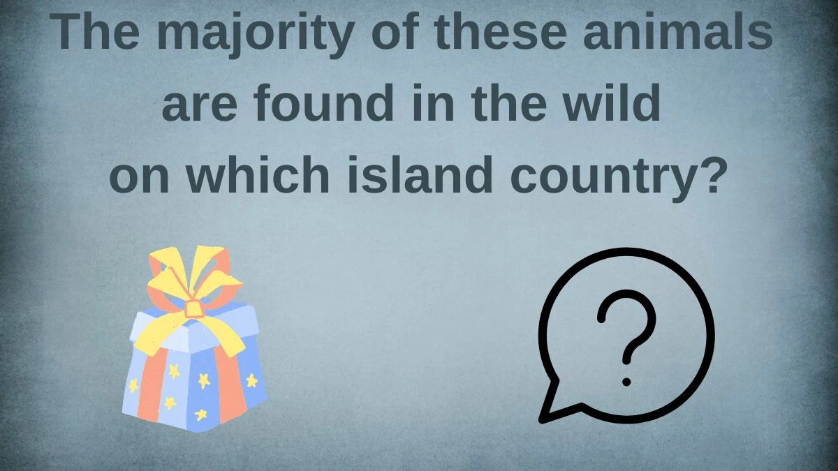 The majority of these animals are found in the wild on which island country? Amazon Quiz Answer Today June 06, 2024