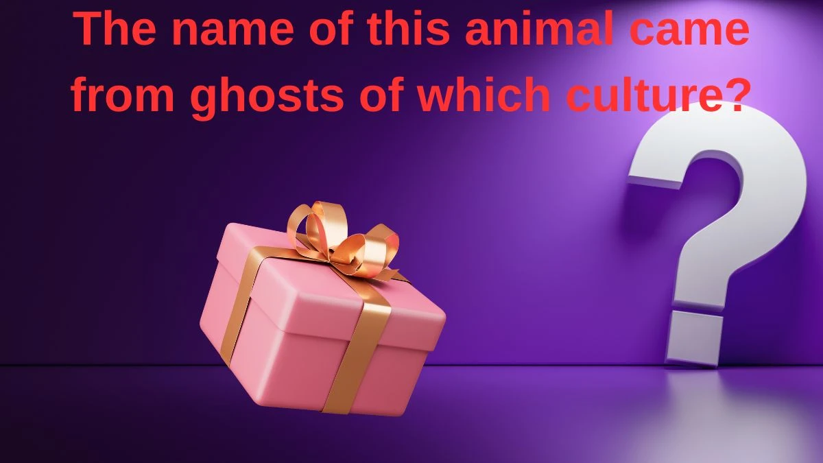 The name of this animal came from ghosts of which culture? Amazon Quiz Answer Today June 10, 2024