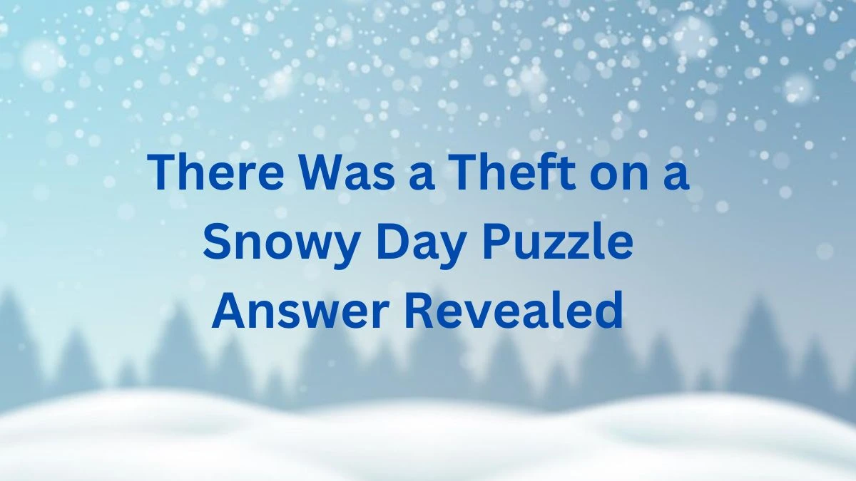 There Was a Theft on a Snowy Day Puzzle Answer Revealed