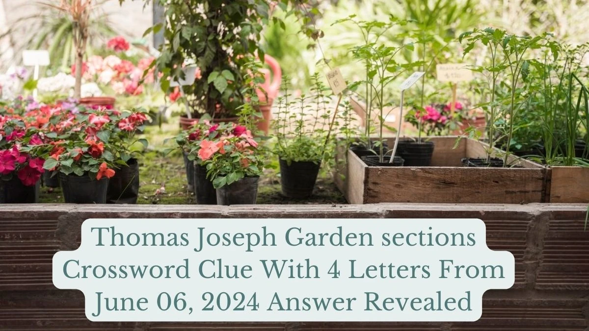 Thomas Joseph Garden sections Crossword Clue With 4 Letters From June 06, 2024 Answer Revealed