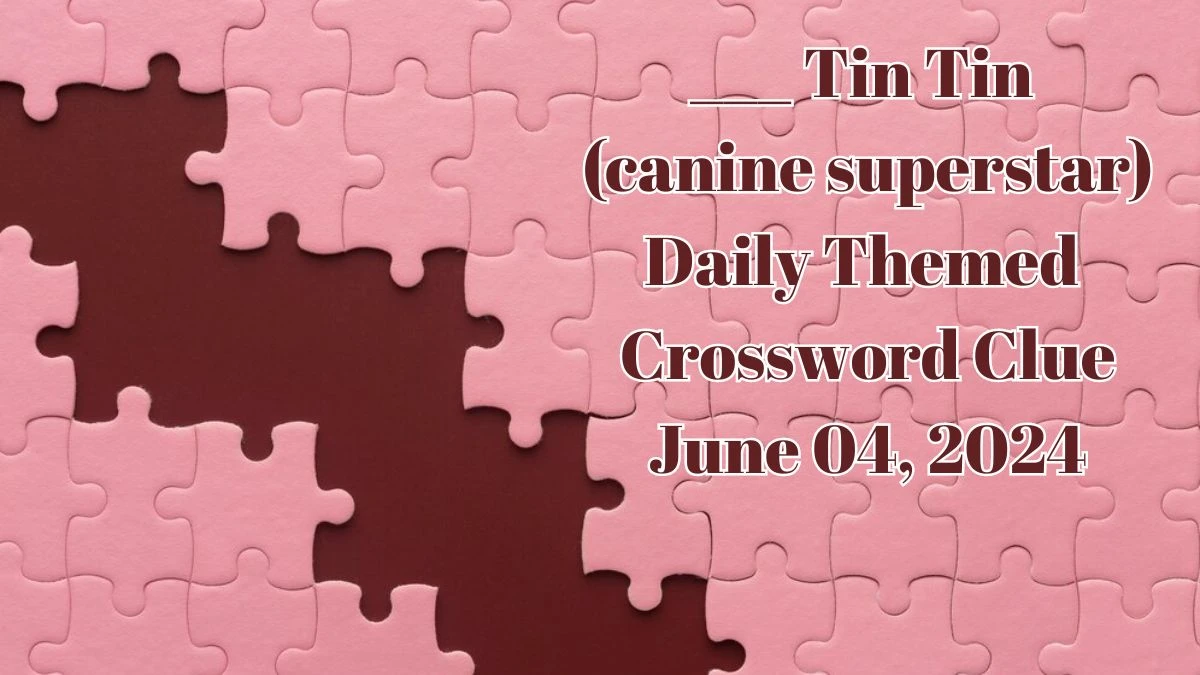 ___ Tin Tin (canine superstar) Daily Themed Crossword Clue from June 04, 2024