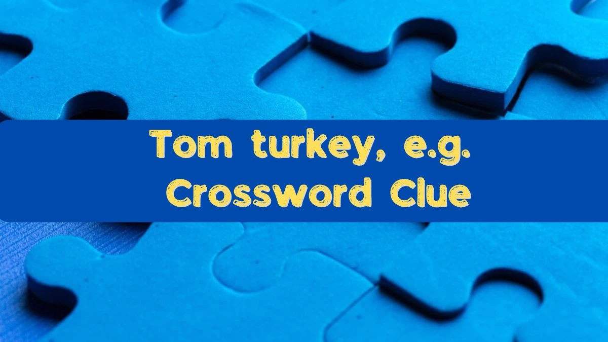 Tom turkey, e.g. Daily Commuter Crossword Clue Puzzle Answer from June 22, 2024