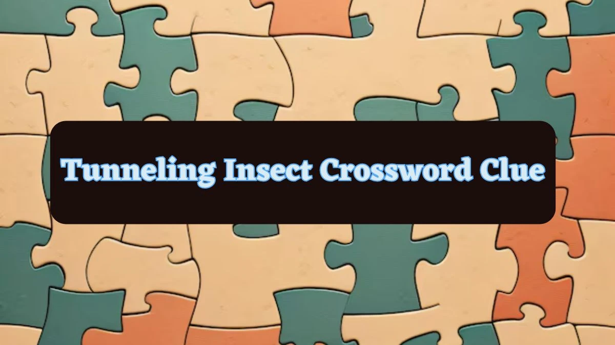 Tunneling Insect Daily Commuter Crossword Clue Puzzle Answer from June 24, 2024