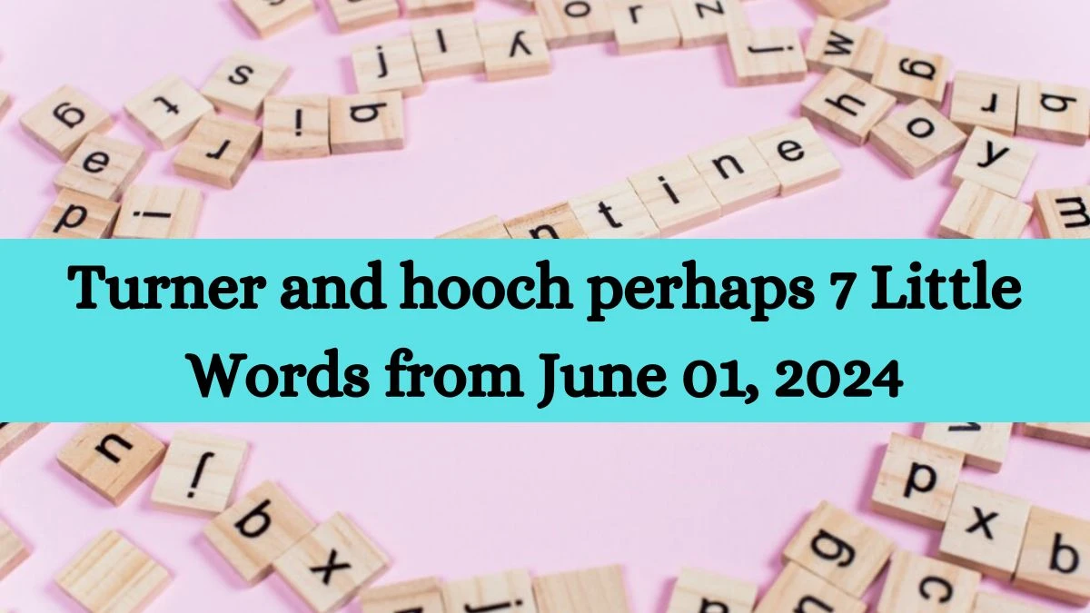 Turner and hooch perhaps 7 Little Words from June 01, 2024