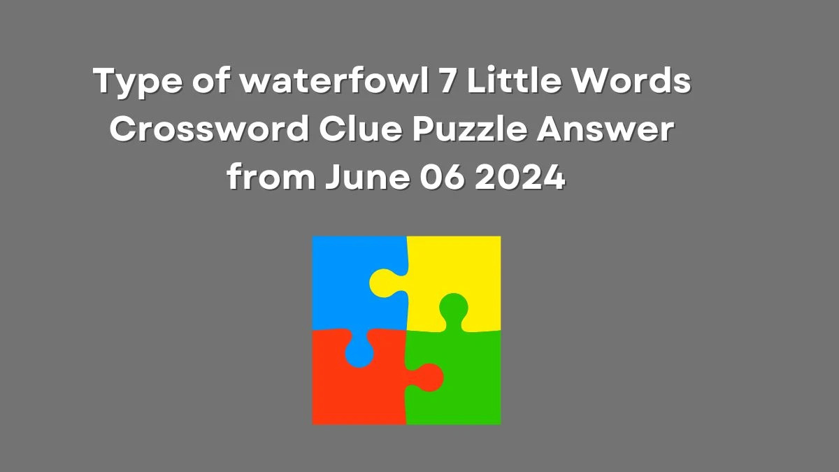 Type of waterfowl 7 Little Words Crossword Clue Puzzle Answer from June 06 2024