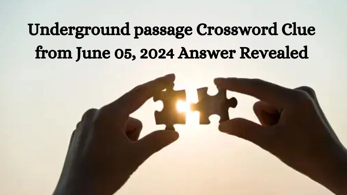 Underground passage Crossword Clue from June 05, 2024 Answer Revealed