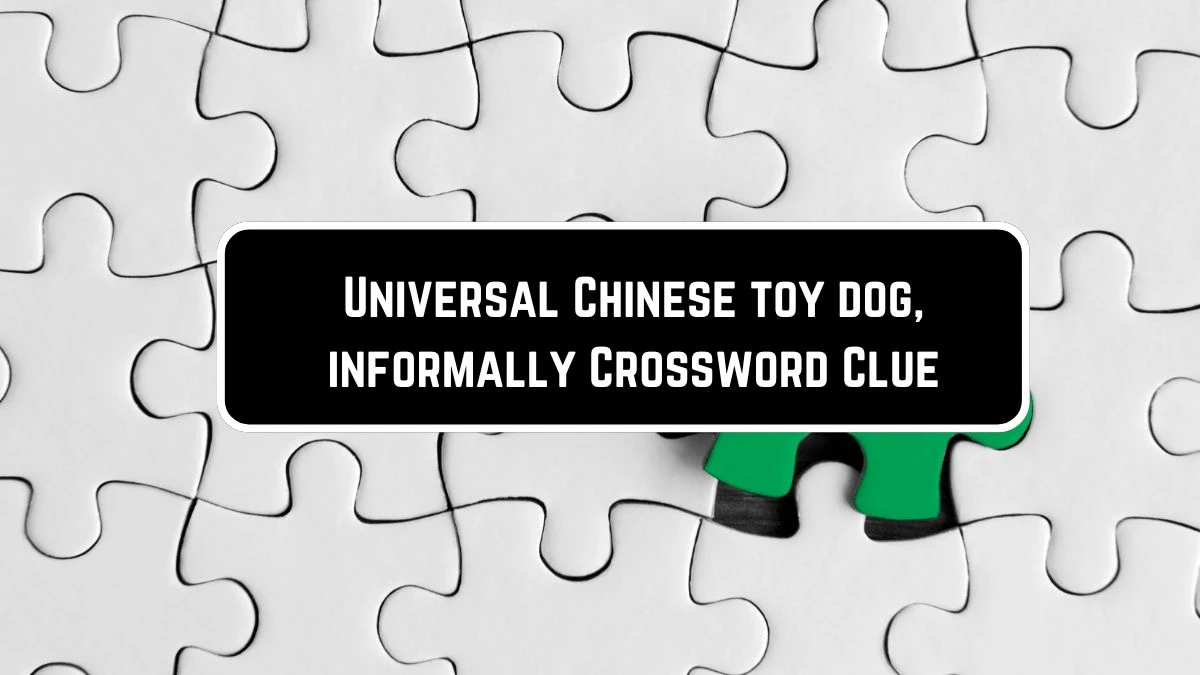 Universal Chinese toy dog, informally Crossword Clue Puzzle Answer from ...