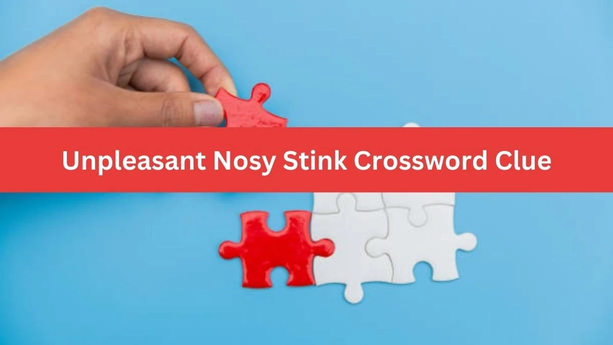 Unpleasant Nosy Stink Crossword Clue Daily Themed Puzzle Answer from June 20, 2024