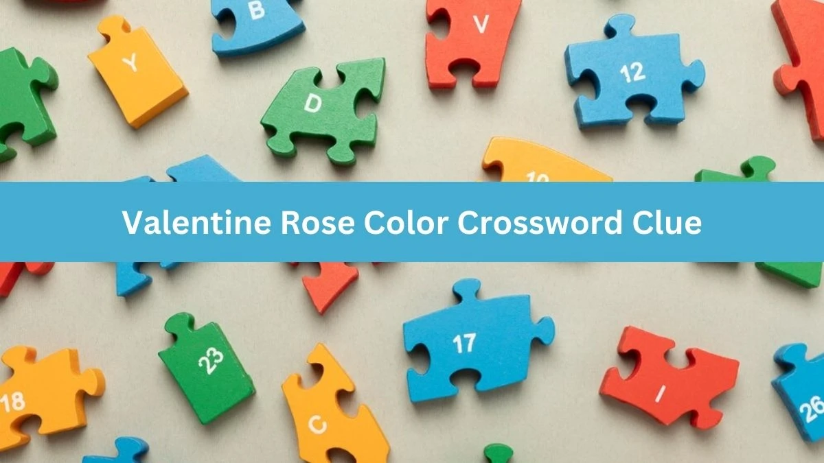 Valentine Rose Color Crossword Clue Daily Themed Puzzle Answer from June 19, 2024