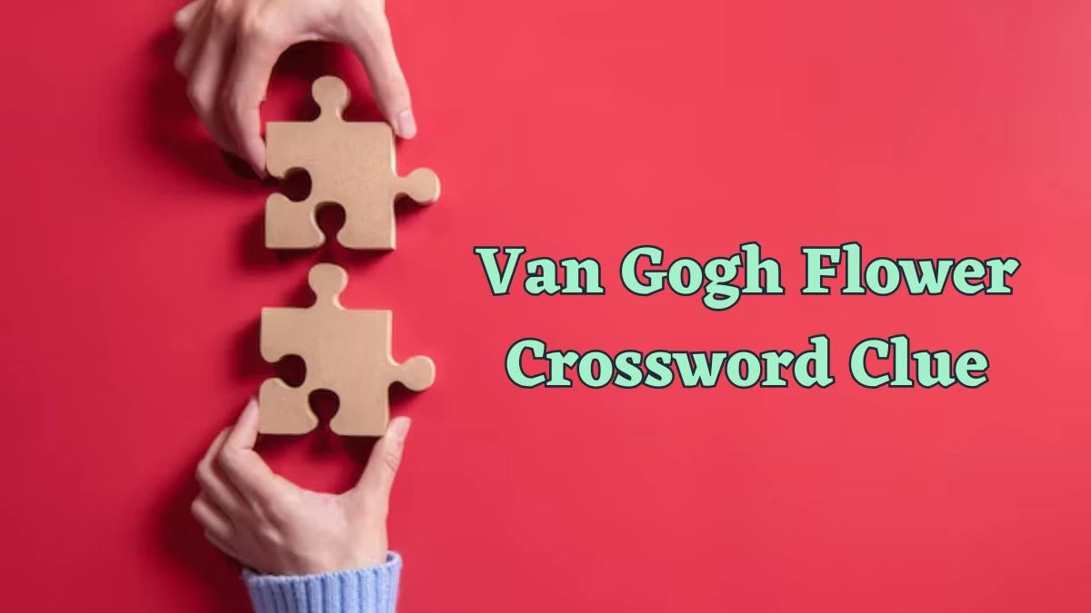 Van Gogh Flower Crossword Clue Daily Commuter Puzzle Answer from June 18, 2024