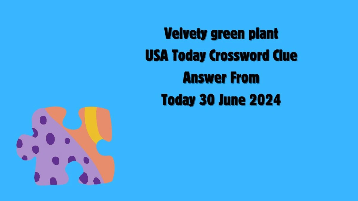 USA Today Velvety green plant Crossword Clue Puzzle Answer from June 30, 2024
