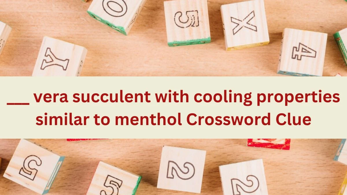 Daily Themed ___ vera succulent with cooling properties similar to menthol Crossword Clue Puzzle Answer from June 22, 2024