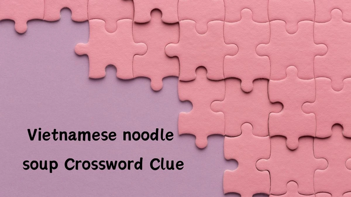 Daily Themed Vietnamese noodle soup Crossword Clue Puzzle Answer from