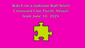 Watch on a stakeout Wall Street Crossword Clue Puzzle Answer from June 10, 2024