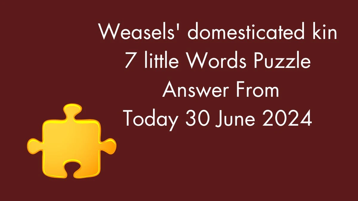 Weasels' domesticated kin 7 Little Words Puzzle Answer from June 30, 2024