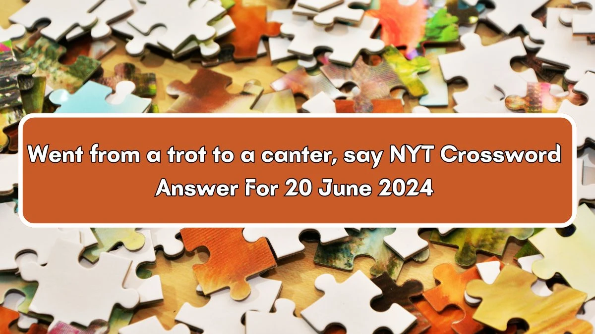 Went from a trot to a canter, say NYT Crossword Clue Puzzle Answer from June 20, 2024