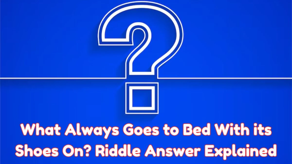 What Always Goes to Bed With its Shoes On? Riddle Answer Explained