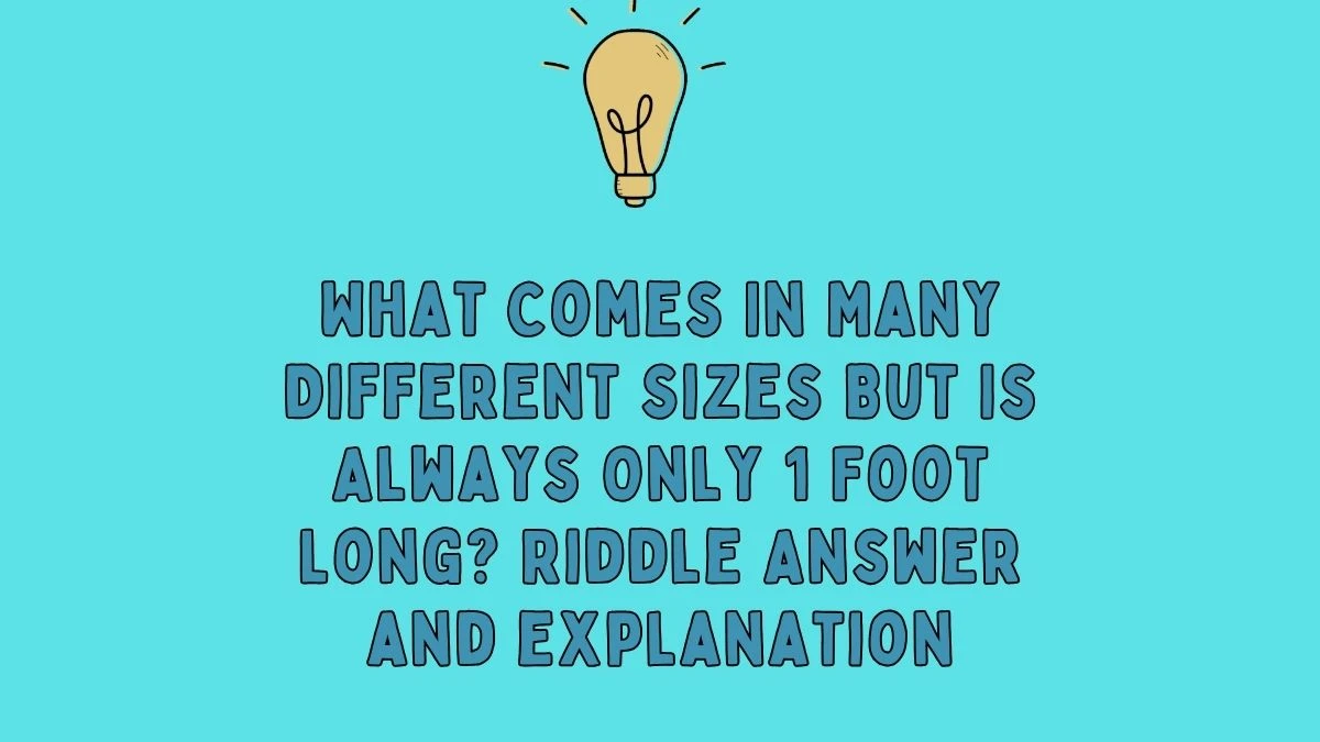 What Comes In Many Different Sizes But Is Always Only 1 Foot Long? Riddle