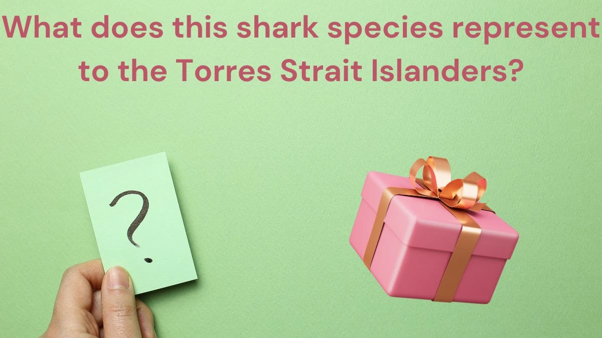 What does this shark species represent to the Torres Strait Islanders? Amazon Quiz Answer Today June 20, 2024