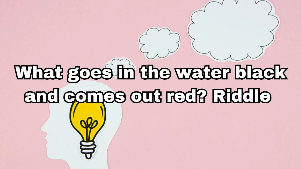 What goes in the water black and comes out red? Riddle Answer Revealed