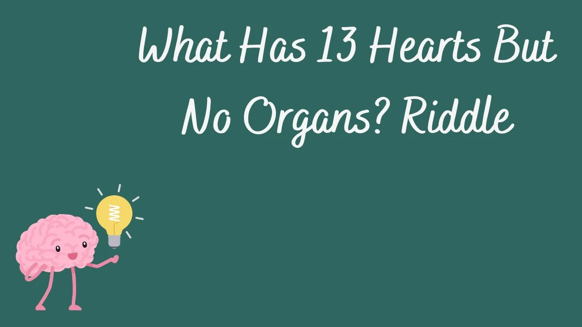 What Has 13 Hearts But No Organs? Riddle