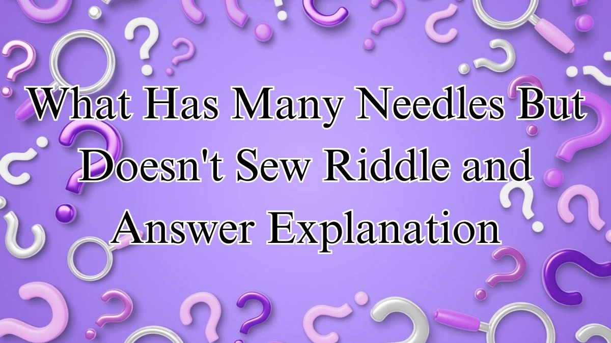 What Has Many Needles But Doesn't Sew Riddle and Answer Explanation