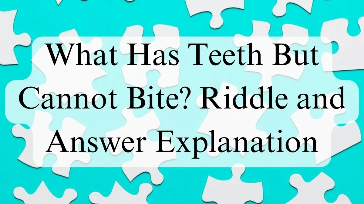 What Has Teeth But Cannot Bite? Riddle and Answer Explanation