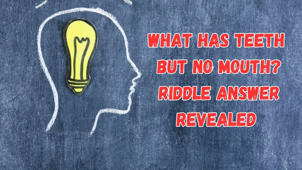 What Has Teeth But No Mouth? Riddle Answer Revealed