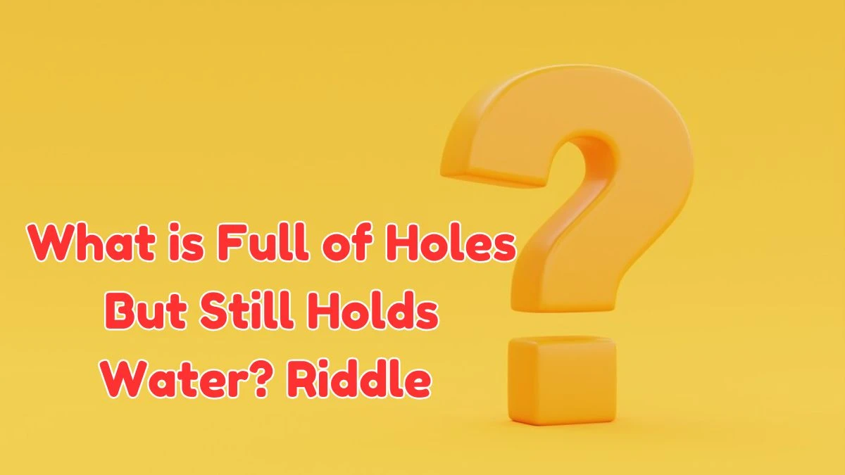 What is Full of Holes But Still Holds Water? Riddle