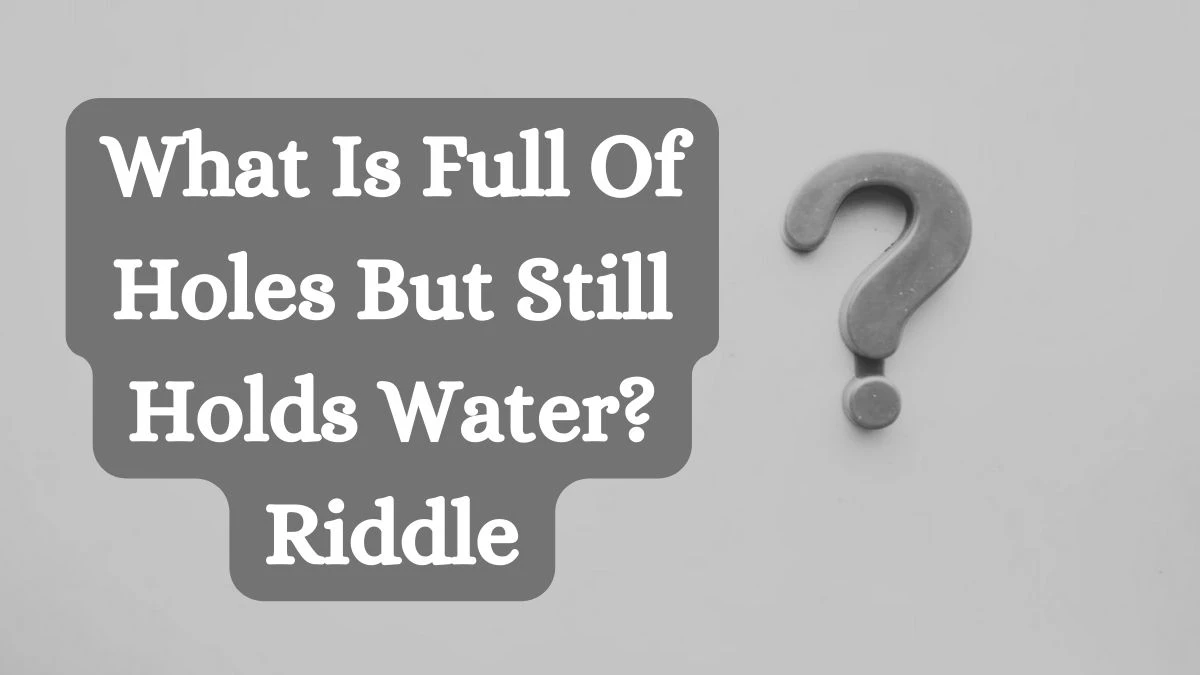 What Is Full Of Holes But Still Holds Water? Riddle