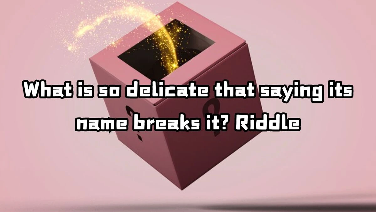 What is so delicate that saying its name breaks it? Riddle Answer Exposed