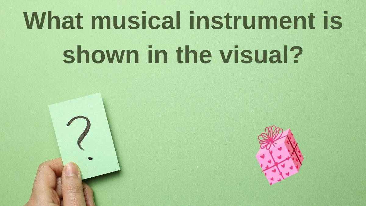 What musical instrument is shown in the visual? Amazon Quiz Answer Today June 07, 2024