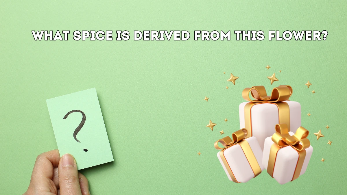 What spice is derived from this flower? Amazon Quiz Answer Today June 01, 2024