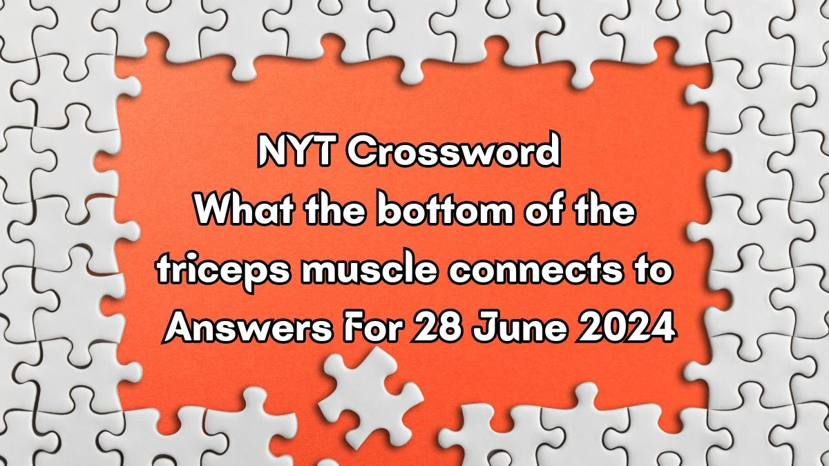 What the bottom of the triceps muscle connects to NYT Crossword Clue Puzzle Answer from June 28, 2024