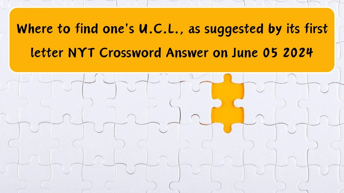 Where to find one's U.C.L., as suggested by its first letter NYT Crossword Answer on June 05 2024