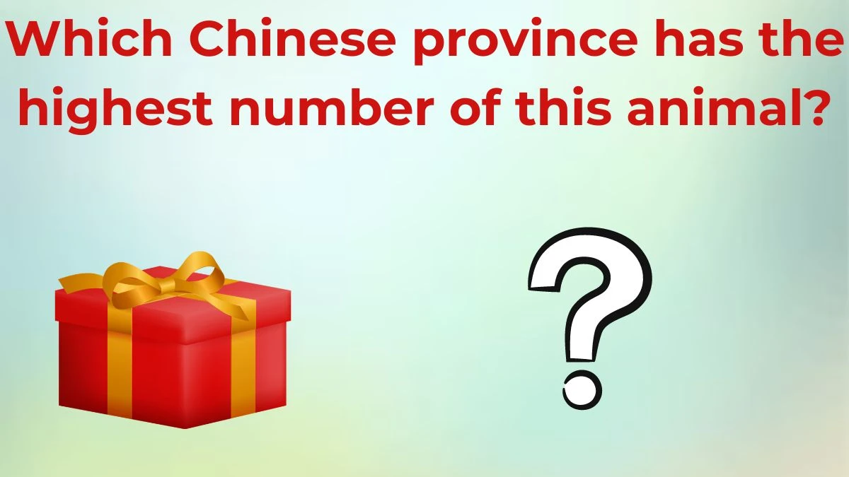 Which Chinese province has the highest number of this animal? Amazon Quiz Answer Today June 26, 2024