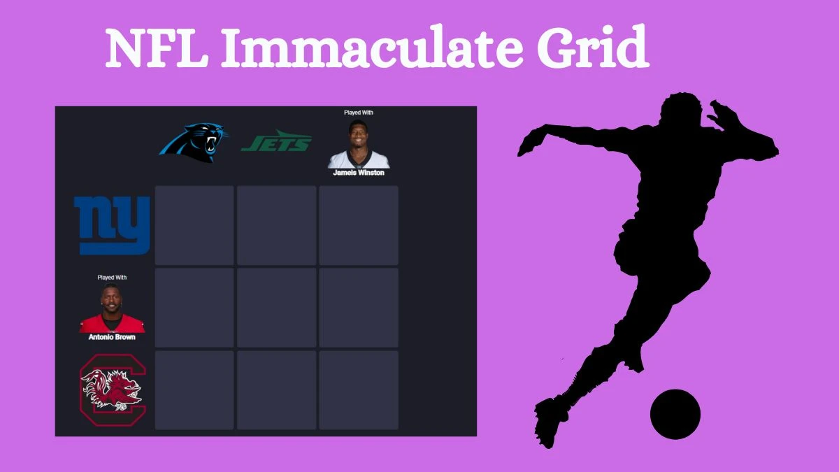 Which Players Have Played for Both New York Giants and Carolina Panthers in Their Careers? NFL Immaculate Grid Answers for June 15, 2024