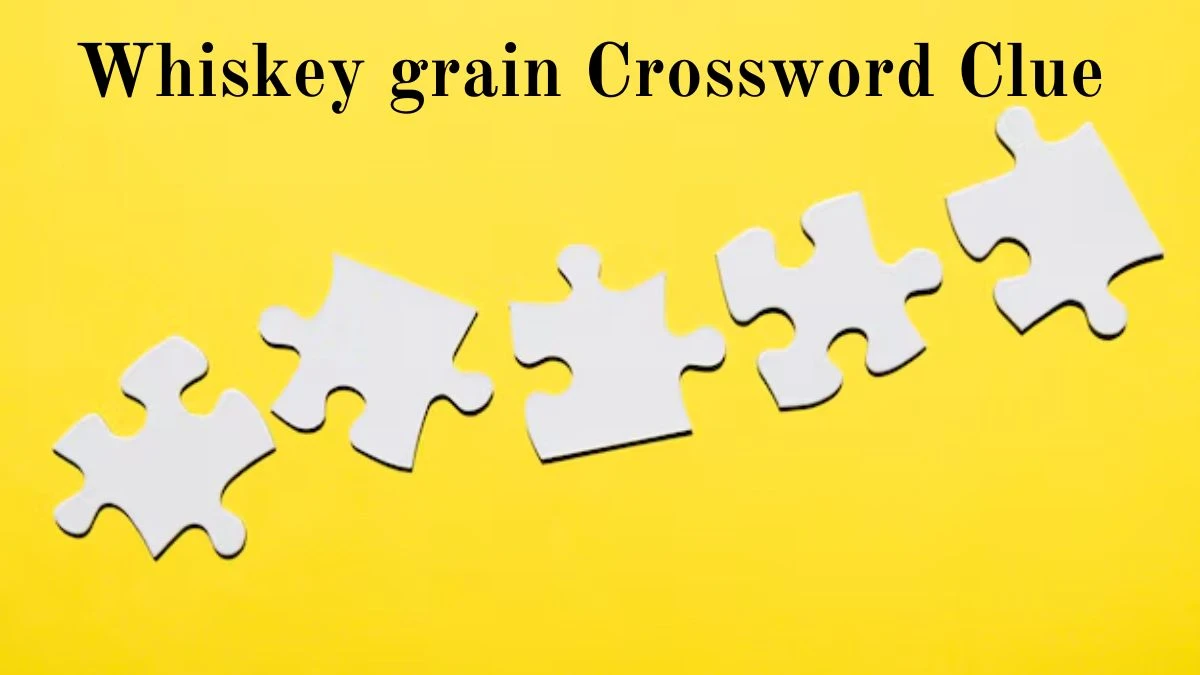 Whiskey grain Daily Commuter Crossword Clue Puzzle Answer from June 29, 2024