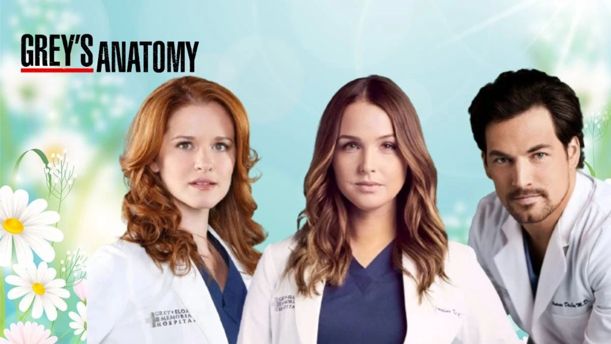 Who is Leaving Grey's Anatomy? Is Grey's Anatomy Still Going?